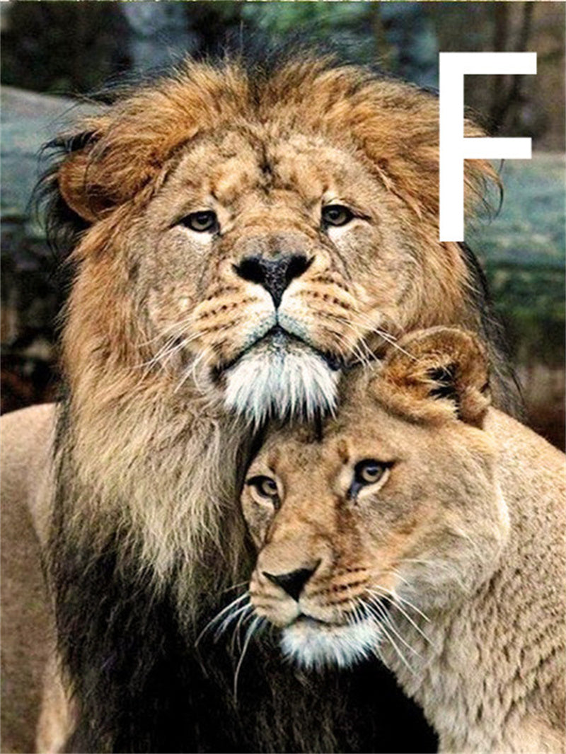 5D Diamond Embroidery Lion Animal Cross Stitch