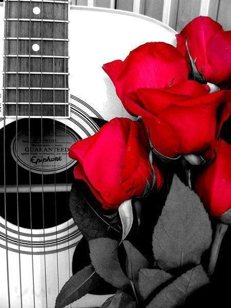 Red Rose Coffee Embroidery Full Circle Square Diy Diamond Painting