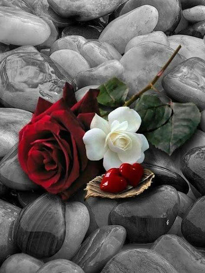 Red Rose Coffee Embroidery Full Circle Square Diy Diamond Painting