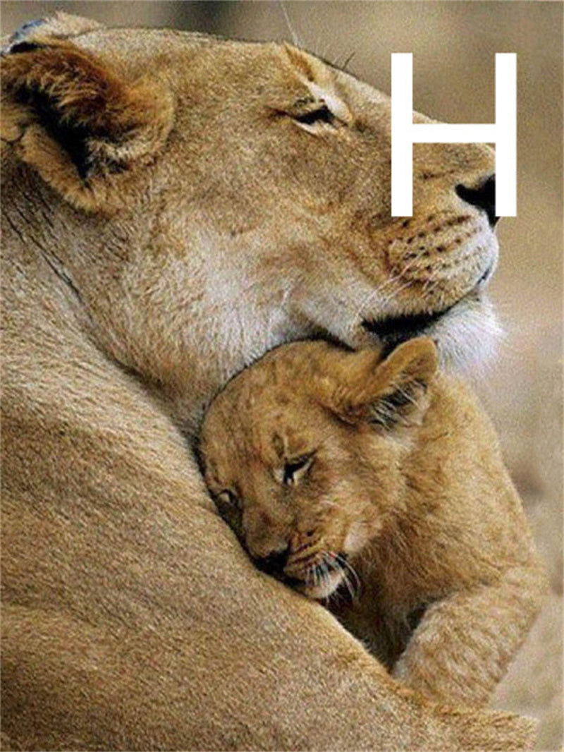 5D Diamond Embroidery Lion Animal Cross Stitch