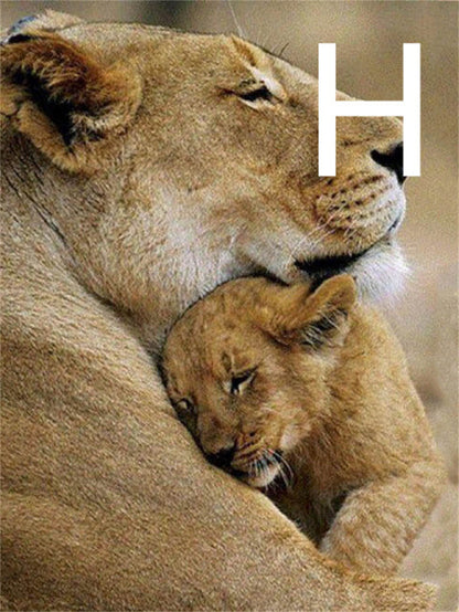 5D Diamond Embroidery Lion Animal Cross Stitch