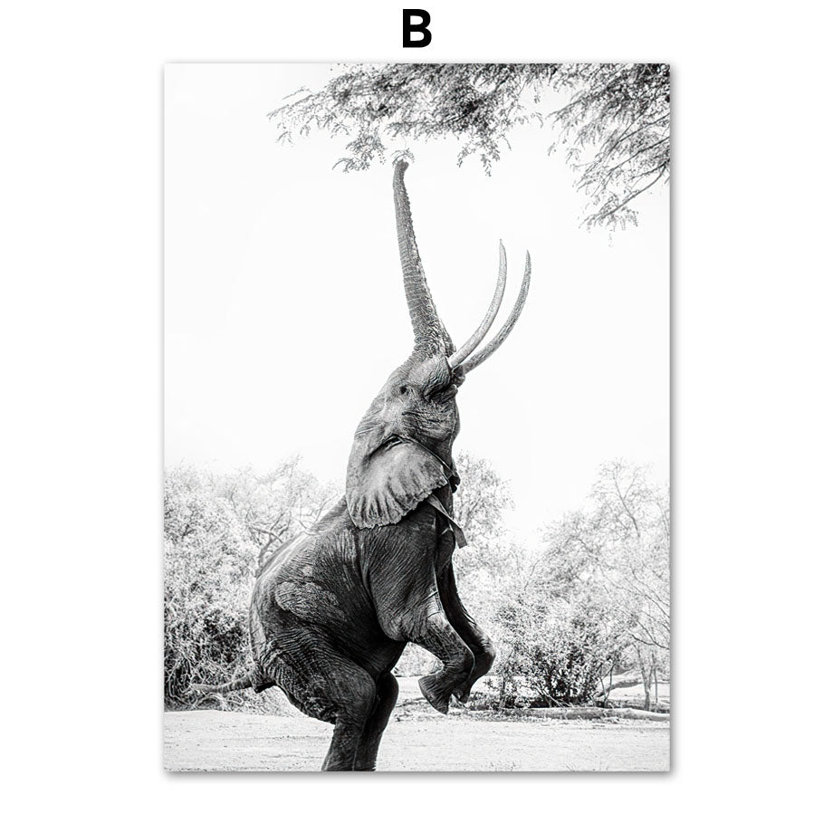 Giraffe Elephant Lion Pineapple Palm Tree Canvas Painting Wall
