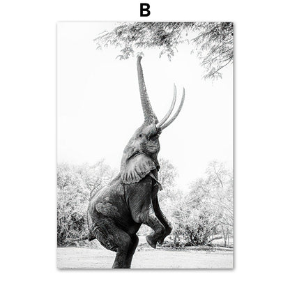 Giraffe Elephant Lion Pineapple Palm Tree Canvas Painting Wall
