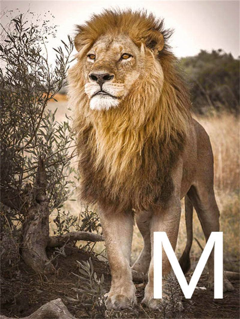 5D Diamond Embroidery Lion Animal Cross Stitch