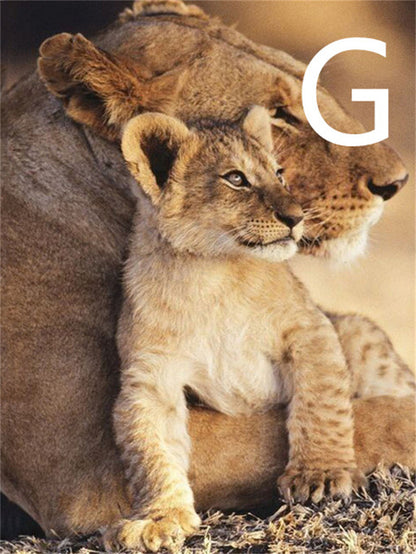 5D Diamond Embroidery Lion Animal CrossStitch