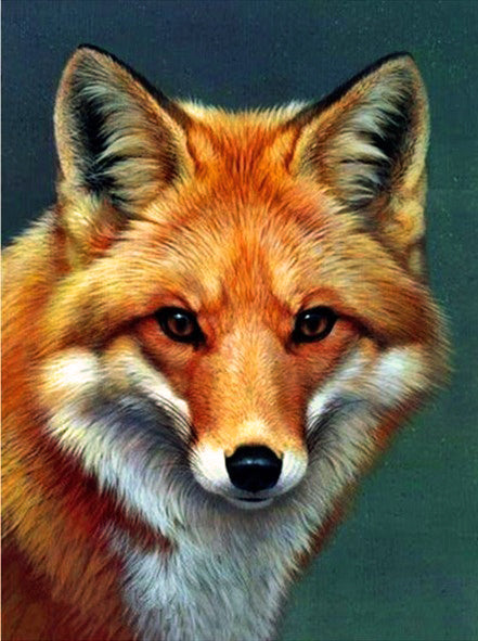 5D Diamond Painting Animal Embroidery Fox