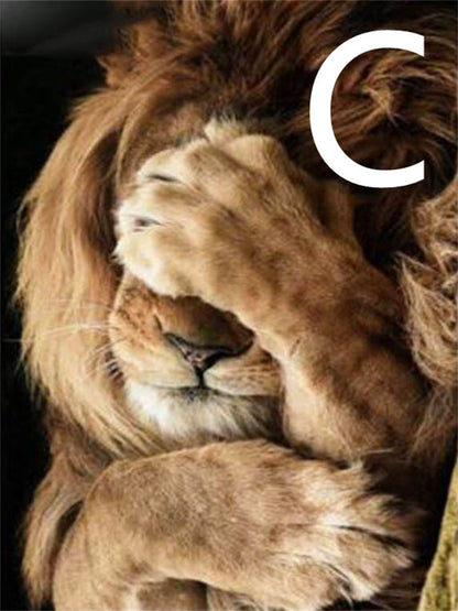 5D Diamond Embroidery Lion Animal Cross Stitch